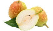Korla Pear