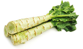 Lactuca sativa var augustana