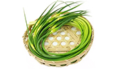 Garlic Sprouts
