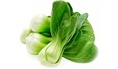 bok choy