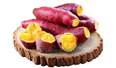 Japanese Sweet Potato